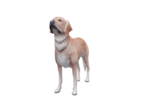 a_c_retriever