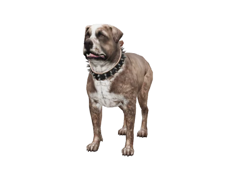 a_c_rottweiler_02
