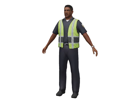 csb_trafficwarden