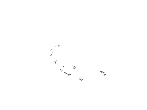 plg_04_foliagec_d, a GTA V map model