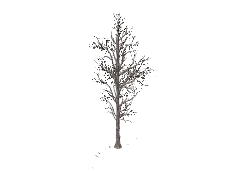 plg_04_props_treeend, a GTA V map model