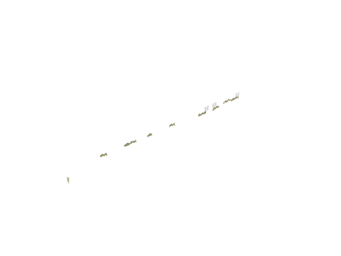 po1_05_coastwee_1c, a GTA V map model