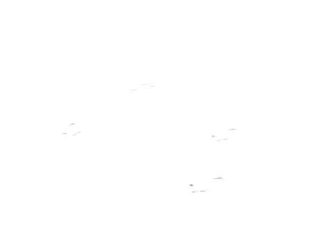 po1_09_ground_decal_03, a GTA V map model
