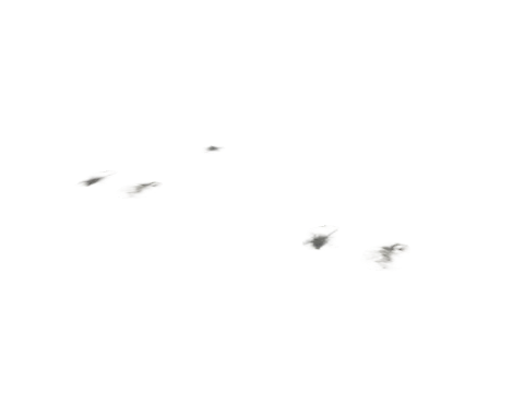 po1_09_ground_decal_04, a GTA V map model