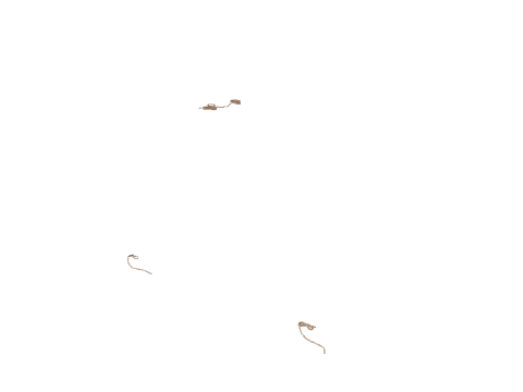 po1_sh1_shipa_09_rope1, a GTA V map model