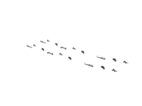 po1_sh2_po1_sh1_decals_06, a GTA V map model