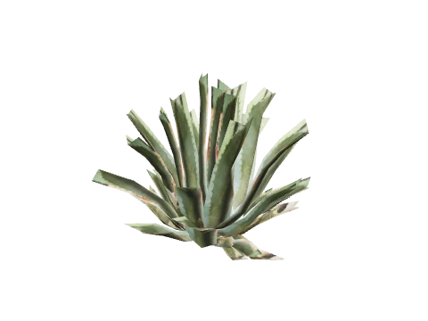 prop_agave_01