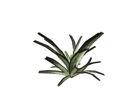 prop_aloevera_01