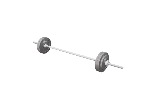 prop_barbell_100kg