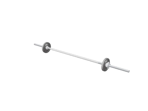 prop_barbell_10kg