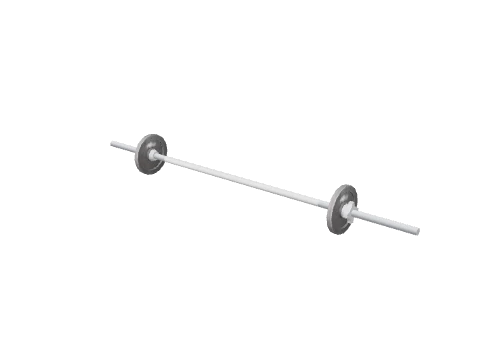 prop_barbell_20kg