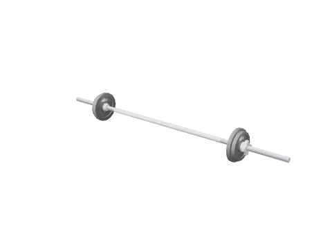 prop_barbell_30kg