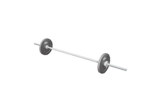 prop_barbell_40kg