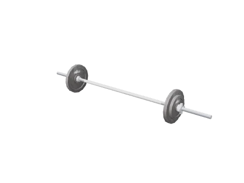 prop_barbell_60kg