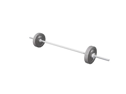 prop_barbell_80kg