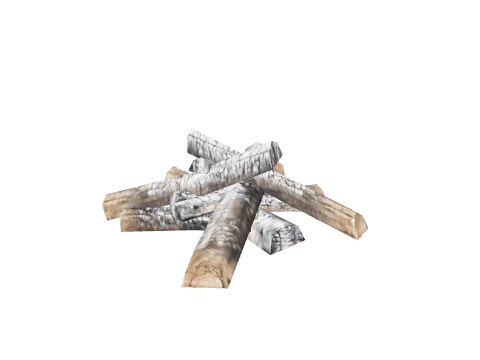 prop_beach_fire