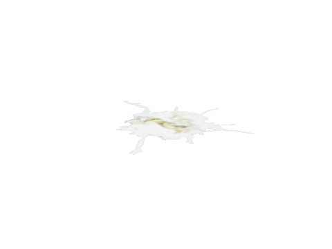 prop_bird_poo
