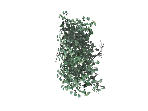 prop_bush_ivy_01_1m