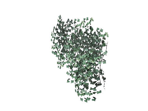 prop_bush_ivy_01_l