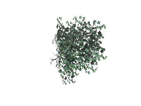 prop_bush_ivy_01_r