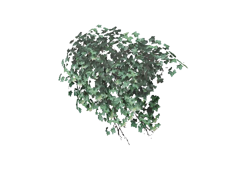 prop_bush_ivy_01_top