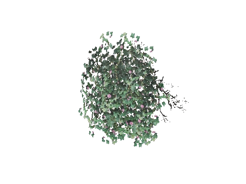 prop_bush_ivy_02_2m