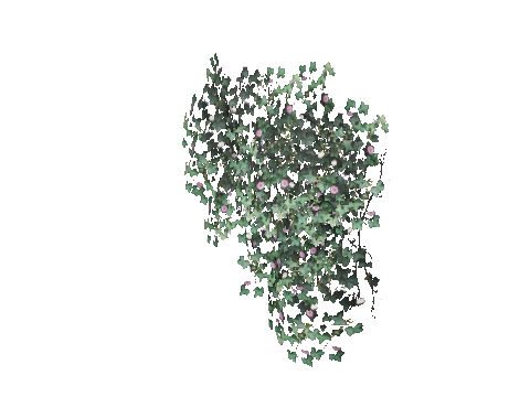 prop_bush_ivy_02_l