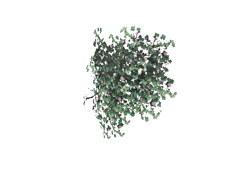 prop_bush_ivy_02_r