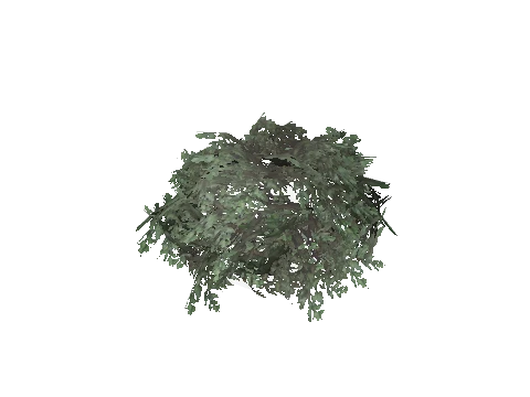 prop_bush_lrg_01c