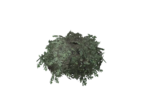 prop_bush_lrg_01c_cr