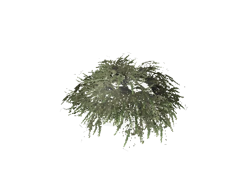 prop_bush_lrg_01e