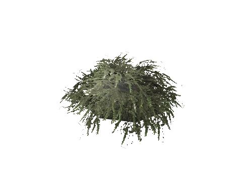 prop_bush_lrg_01e_cr