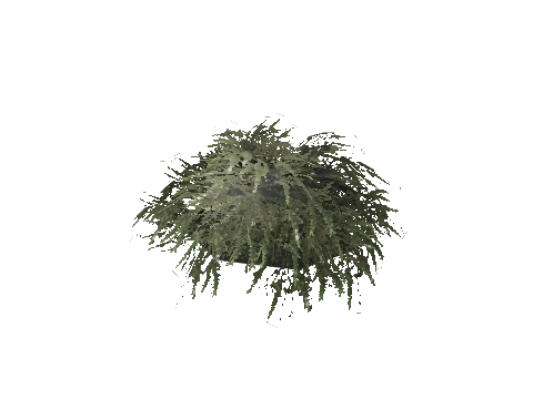 prop_bush_lrg_01e_cr2