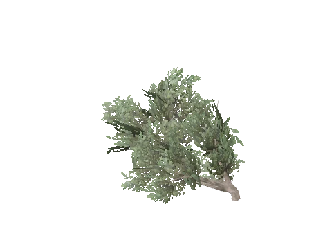 prop_bush_lrg_02