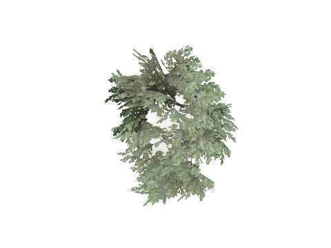 prop_bush_lrg_02b
