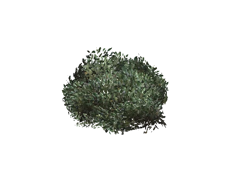 prop_bush_lrg_03