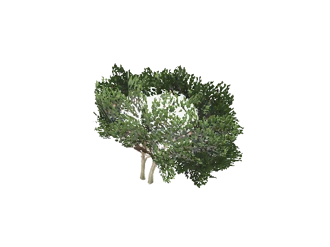 prop_bush_lrg_04b
