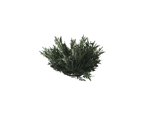 prop_bush_med_01