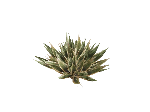 prop_bush_med_02
