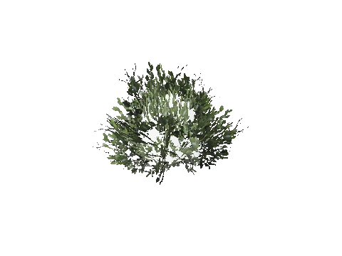 prop_bush_med_03