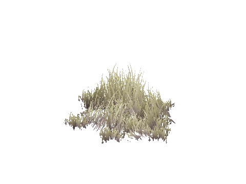 prop_bush_med_05