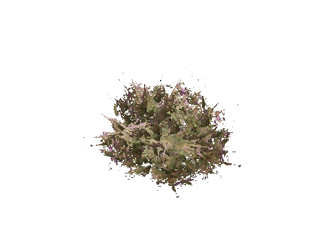 prop_bush_med_06