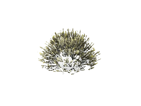 prop_bush_med_07