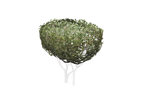 prop_bush_neat_01