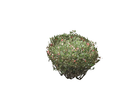 prop_bush_neat_05