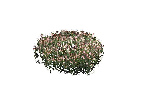 prop_bush_neat_06
