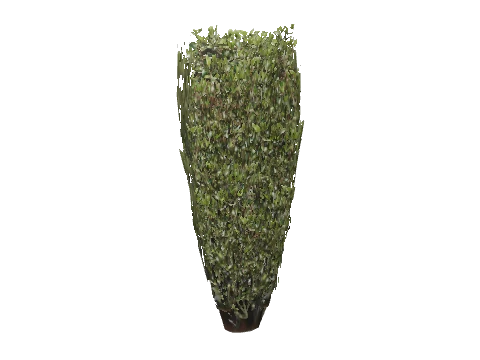 prop_bush_neat_08