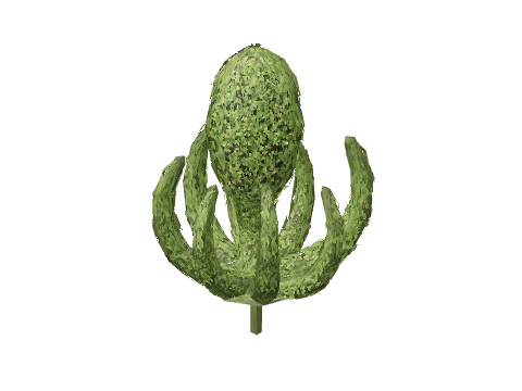 prop_bush_ornament_01