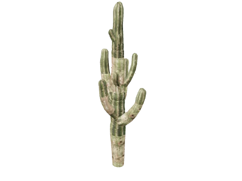 prop_cactus_01d