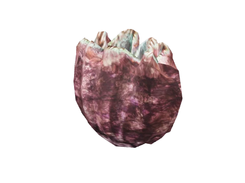 prop_cora_clam_01